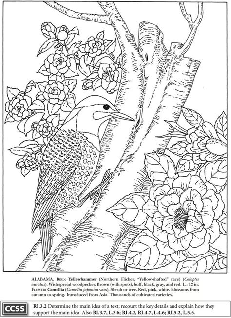 100 best images about BOOST Coloring Books on Pinterest | Wright ...