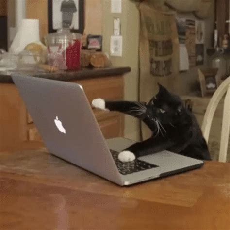 Computer Virus GIF - Find & Share on GIPHY