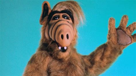 ALF (1986) - TV Show - Taste