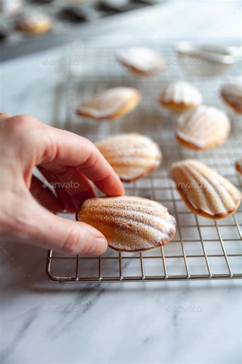 madeleine cake Stock Photo by lizzykomen | PhotoDune