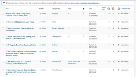 orphaned content remove  redirect   revive  ballen brands