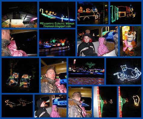 Eccentric Eclectic Woman: Oregon Zoo ZooLights - Our Experience