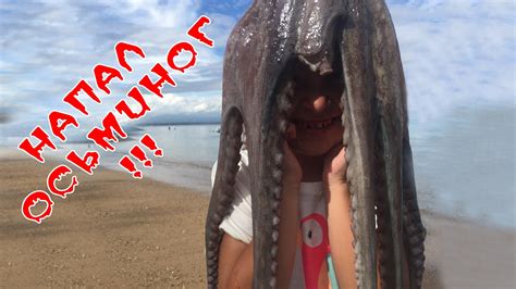Напал Осьминог на Бали Вызов Принят Мама ПЛАЧЕТ Влог 2017 Vlog - YouTube