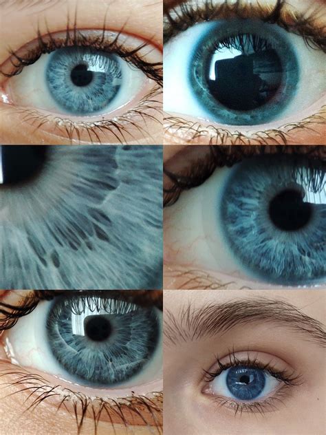 Ocean eyes | Цвет глаз, Фотография глаза, Голубые глаза