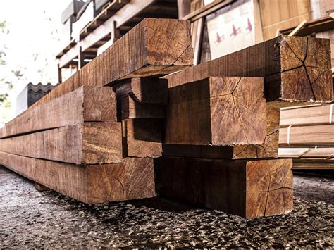 Madeireira é a indústria que trabalha com a extração de madeira