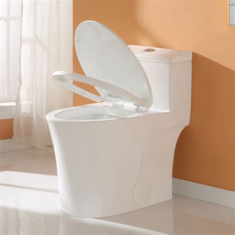 HOROW Elongated 1-Piece Toilet W/Comfort ADA Seat Dual Flush 12/10