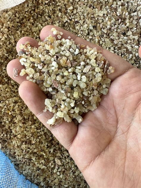 Live Products / Shipments - Al Nama Herbals General Trading LLC | Al