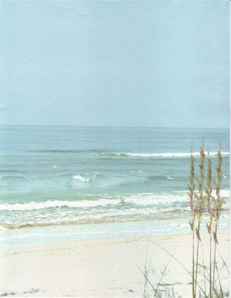 Why go to a nude beach? — B.E.A.C.H.E.S. FOUNDATION