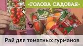 Голова садовая - Похрустим? Огурец огурцу - рознь! - YouTube