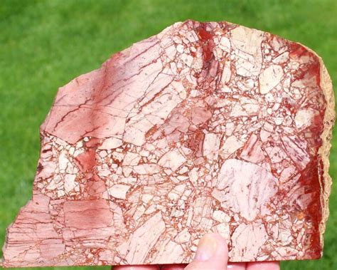 "NEW FIND" CHIP BOARD JASPER SLAB 200 grams Rock/Fossil/Mineral/agate ...