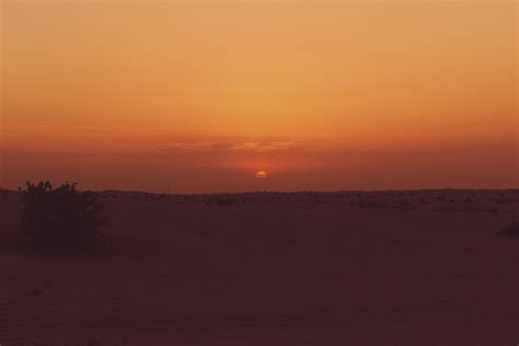 Dubai. UAE | Travel memories, Dubai, Travel