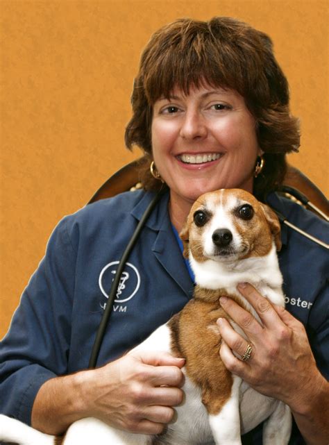 Dr Stiles Veterinarian Beaconsfield at Jessie Ramirez blog