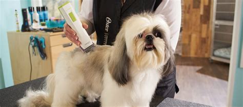 cordless dog clippers  top    year