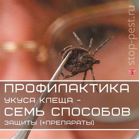 Иксодовые (энцефалитные) клещи – источник опаснейшей энцефалитной ...