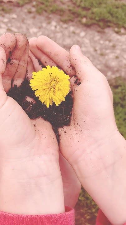 # цветок 🌺 - YouTube