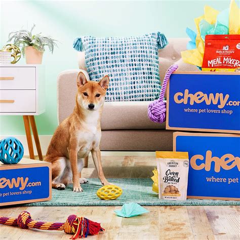 15 Best Dog Food Delivery Subscriptions of 2021: From Fresh Food to Kibble