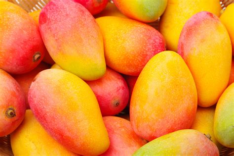Mango colombiano llega por primera vez a los Estados Unidos.