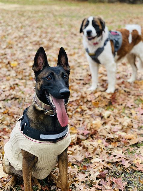 Kayce884♥︎Top .02%♥︎ on Twitter: "It’s so crazy how much my newest