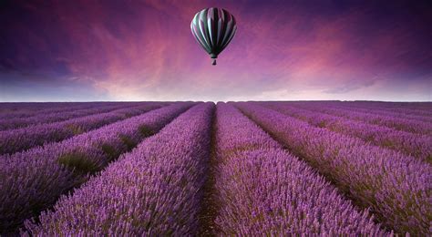 🔥 [40+] Purple Landscape Wallpapers | WallpaperSafari