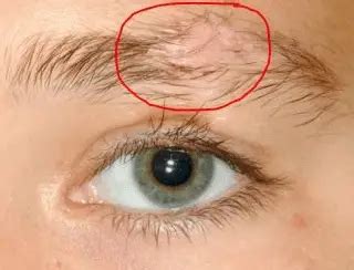 how long do eyebrows take to grow back after shaving