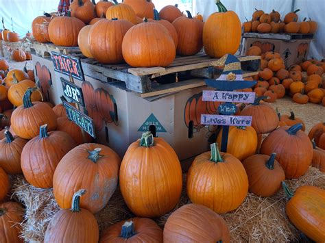 valley view christmas tree 6