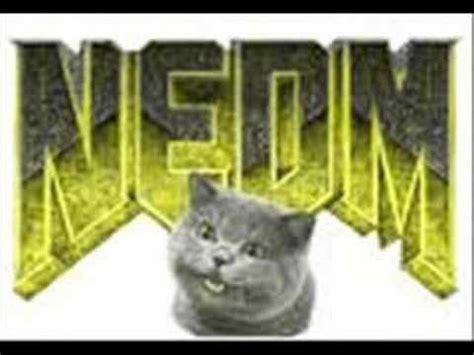 NEDM Song - YouTube