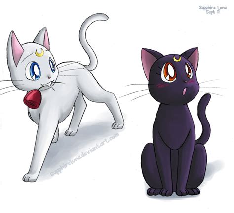 Cats - Anime cat fan club Photo (40578196) - Fanpop