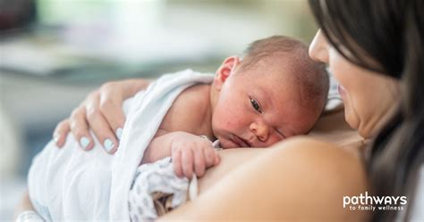 components    birth advanced sports family