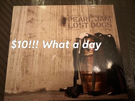 Lost and Found Dogs: Recovery Resources and Shelter Info 1