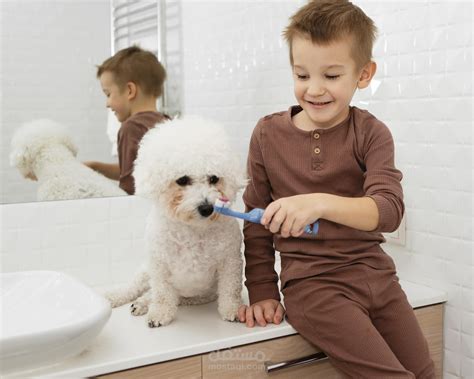 Pet Dental Health Month Celebration | Next February 2022 | مستقل
