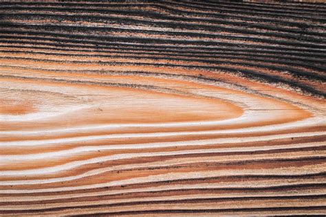 larice ferestre usi obloane lemn stratificat