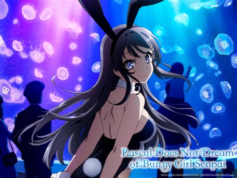 Prime Video: Rascal Does Not Dream of Bunny Girl Senpai