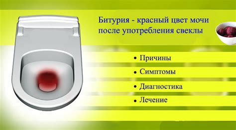 Моча после свёклы красная: причины, болезни, мнение врачей