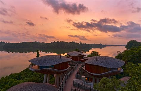 Inside Mandai Rainforest Resort: Singapore's new luxury escape