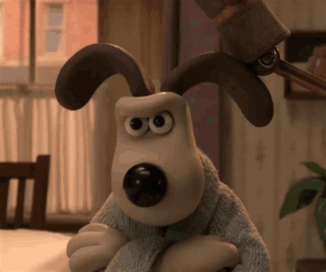 wallace  gromit vengeance  fowl gif wallace  gromit
