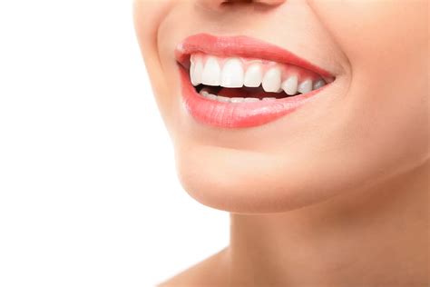 Are Teeth Bones? Teeth vs Bones Shocking Facts [2024]