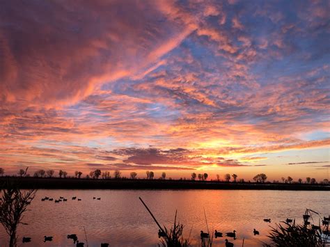 Campus Waterfowl added a new photo — in... - Campus Waterfowl