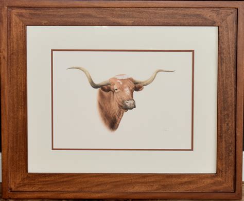 longhorn drawing