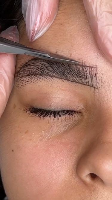 💆🏼‍♀️The Ultimate Guide to Eyebrow Shapes🤨: Sculpting Your Perfect Arch ...