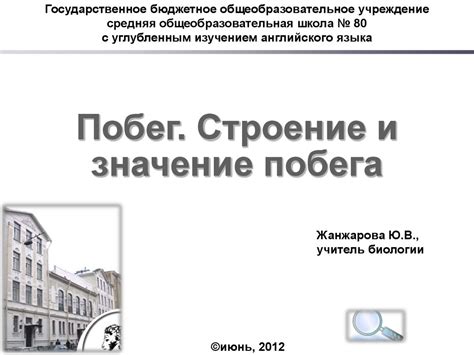 Побег. Строение и значение побега - презентация онлайн