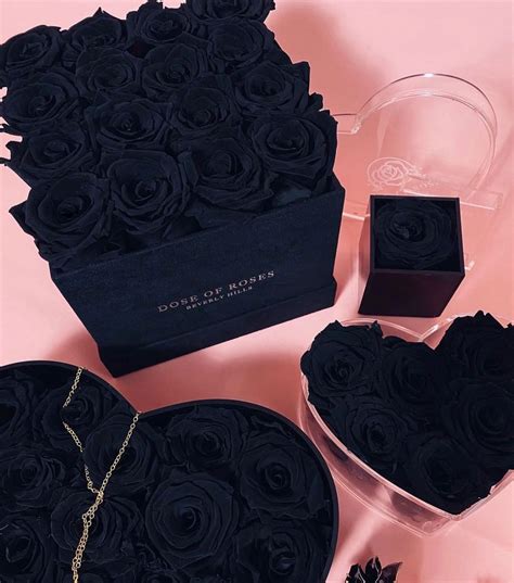 Dose of Roses® (@doseofroses) • Instagram photos and videos