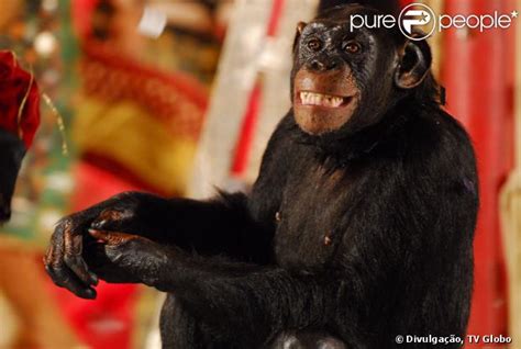 Caras E Bocas Macaco - Descubra por onde anda o macaco pintor Xico, da novela 'Caras & Bocas ...