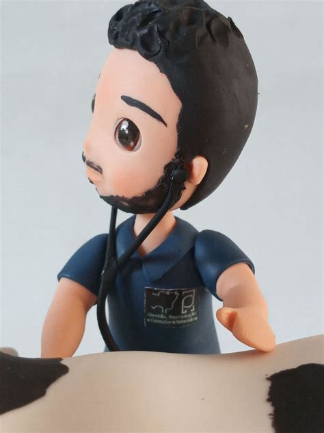 Veterinário De Grande Porte