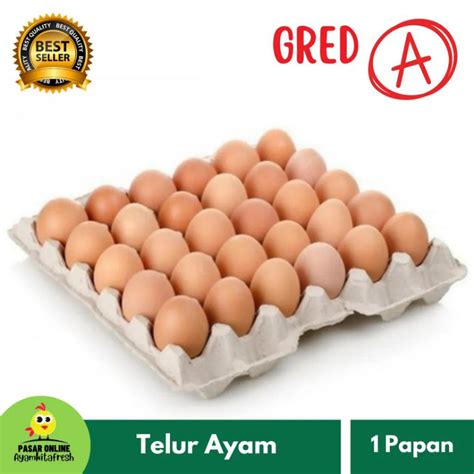 telur ayam gred   papan shopee malaysia