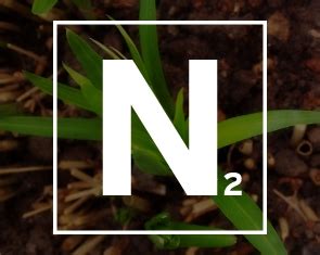 Para Que Serve O Nitrogênio Nas Plantas? Qual O Efeito? | Mundo Ecologia