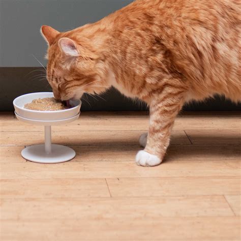 Cat Food – Tuft & Paw