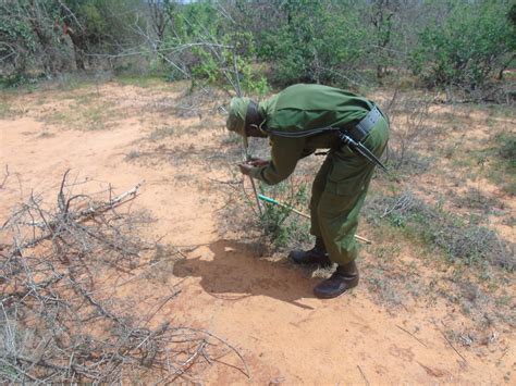 Wildlife Conservation - Community & Wildlife Conservation