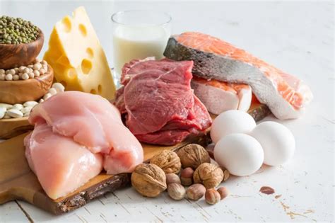 ¿Por qué es importante consumir alimentos ricos en proteínas?