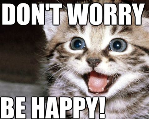 dont worry  happy unsucky kitten quickmeme