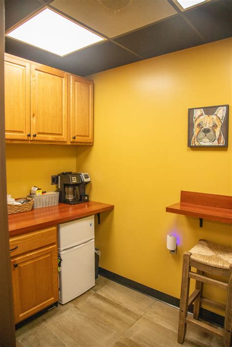 Our Story - Free Range Doggy Daycare